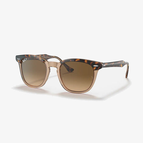 Hawkeye - Havana Transparent Brown/Brown Gradient Polarized